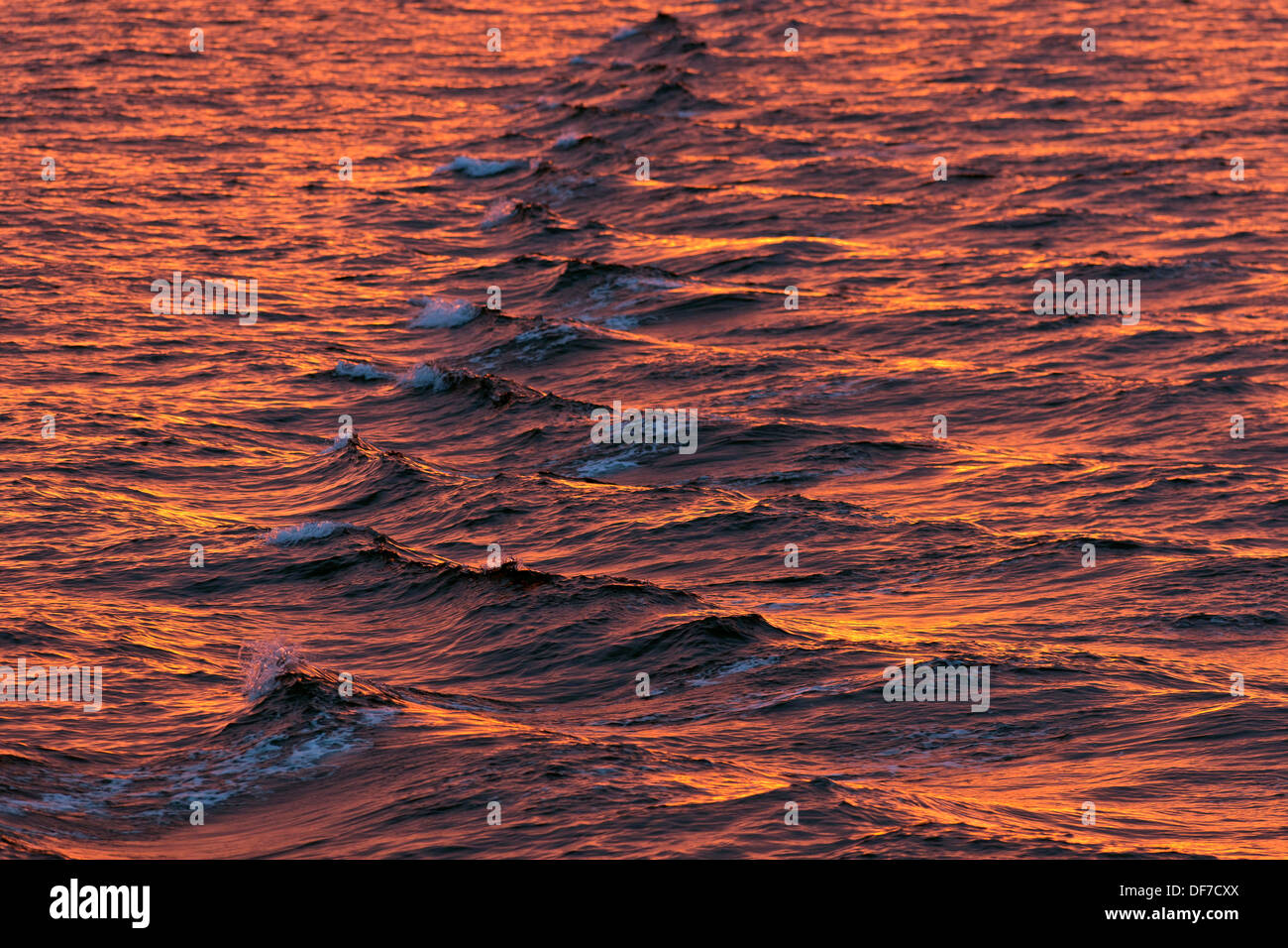 Bogen-Wellen im Abendlicht, Nordpolarmeer, Spitzbergen Insel, Spitzbergen, Svalbard und Jan Mayen, Norwegen Stockfoto