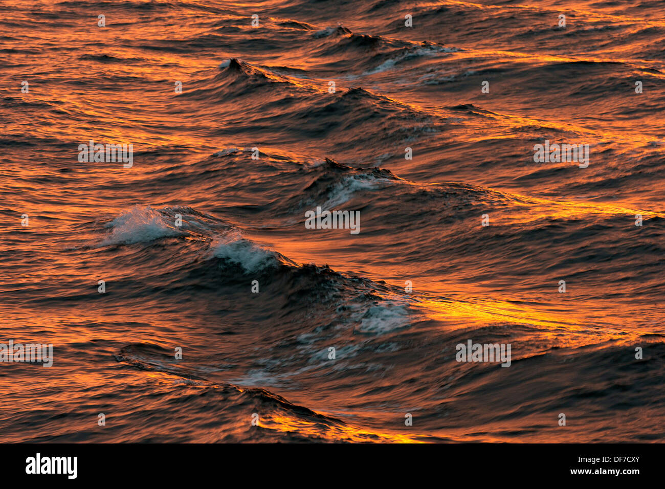 Bogen-Wellen im Abendlicht, Nordpolarmeer, Spitzbergen Insel, Spitzbergen, Svalbard und Jan Mayen, Norwegen Stockfoto