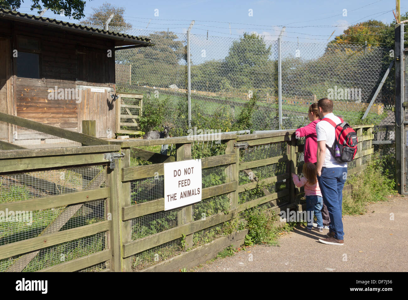 Junge Familie eine Zwergziege an der Tierwelt Attraktion im Moos Bank Park, Bolton, am letzten Wochenende des Vorgangs anzeigen. Stockfoto