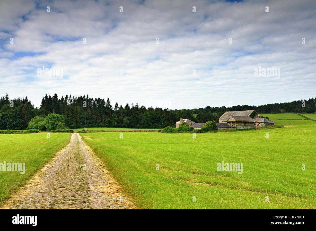 Wirtschaftsgebäude und eine Strecke laufen durch Felder in Baden-Baden, einem Dorf in Cumbria, England Stockfoto