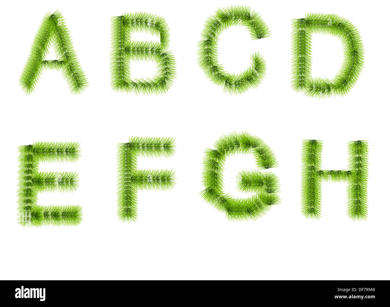 Grass Buchstaben A, B, C, D, E, F, G, H o einen weißen Hintergrund isoliert Stockfoto
