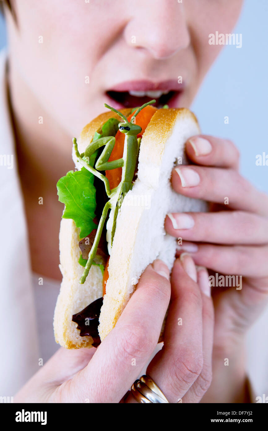 FRAU ESSEN INSEKTEN Stockfoto