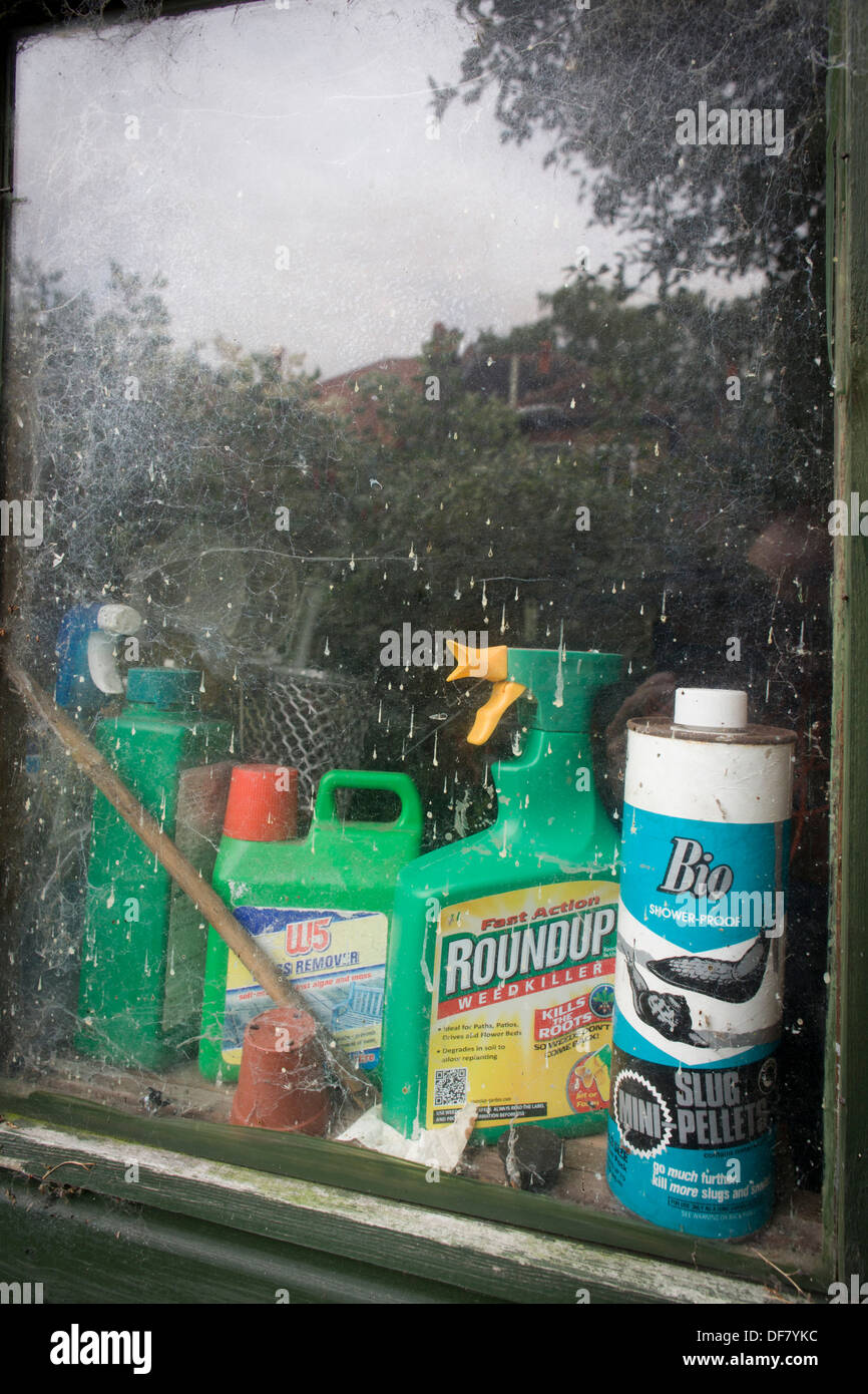 Detasill grün, hölzerne Garten wirft Haushaltschemikalien aufgereihten auf dem Fensterbrett innen. Stockfoto