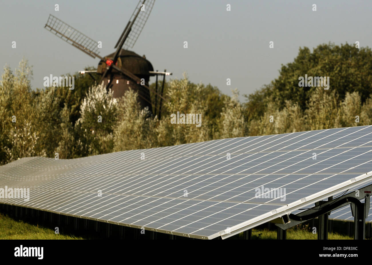 Solarzellenverkleidungen des Energieversorgers ENNI stehen vor einer alten Windmühle in Moers, Deutschland, 30. September 2013. Der Solarpark mit seinen 14.000 Solarzellenverkleidungen soll 3,3 Millionen Kilowattstunden Strom pro Jahr produzieren. Foto: ROLAND WEIHRAUCH Stockfoto