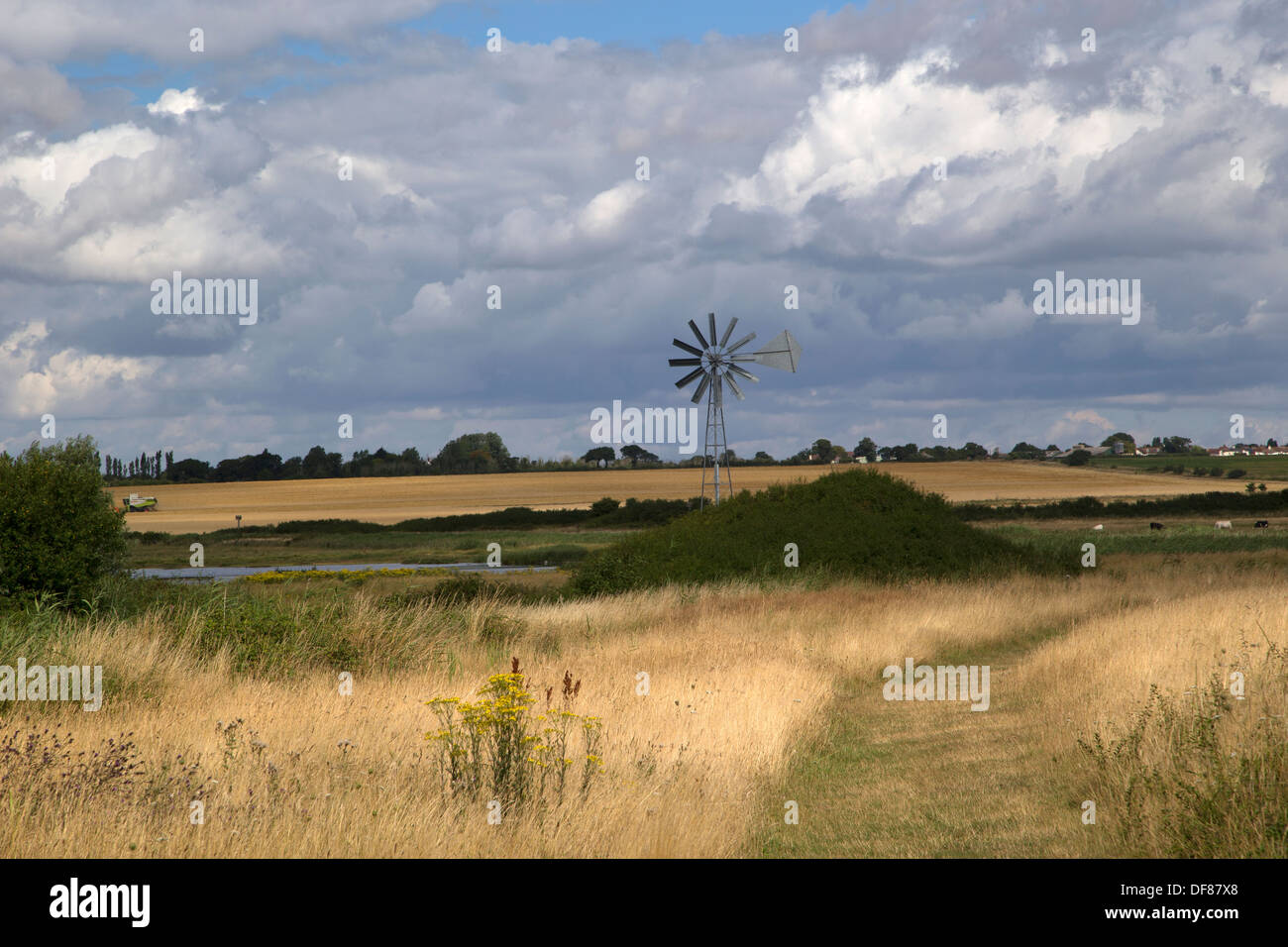 East Anglia Landschaft mit Wind Pumpe Holland-on-Sea, England Stockfoto