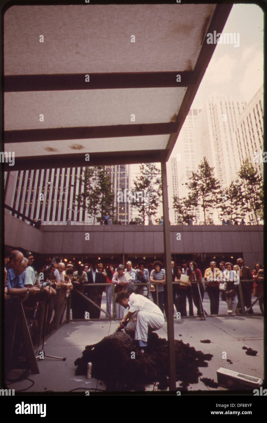 Sheepshearing war eine der vorgestellten Demonstrationen beim Rockefeller Center Festival of Folk Arts and Crafts, bei denen traditionelle Fertigkeiten und Kunsthandwerk während der Veranstaltung vorgestellt wurden. Stockfoto