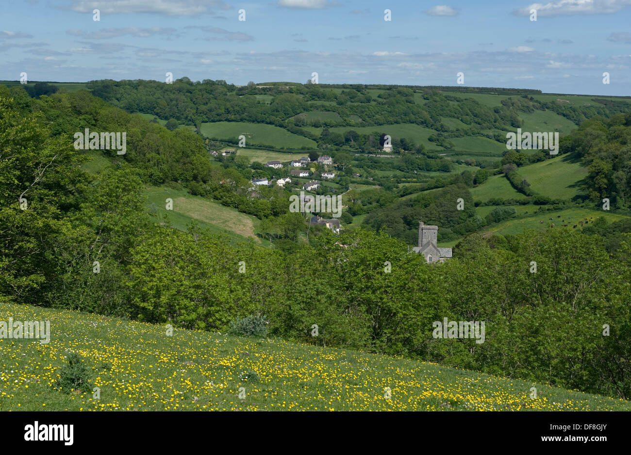 Mit Blick auf Branscombe Dorf an einem frühen Sommertag in Devon mit Bäumen im neuen Blatt Butterblumen in Blüte Stockfoto