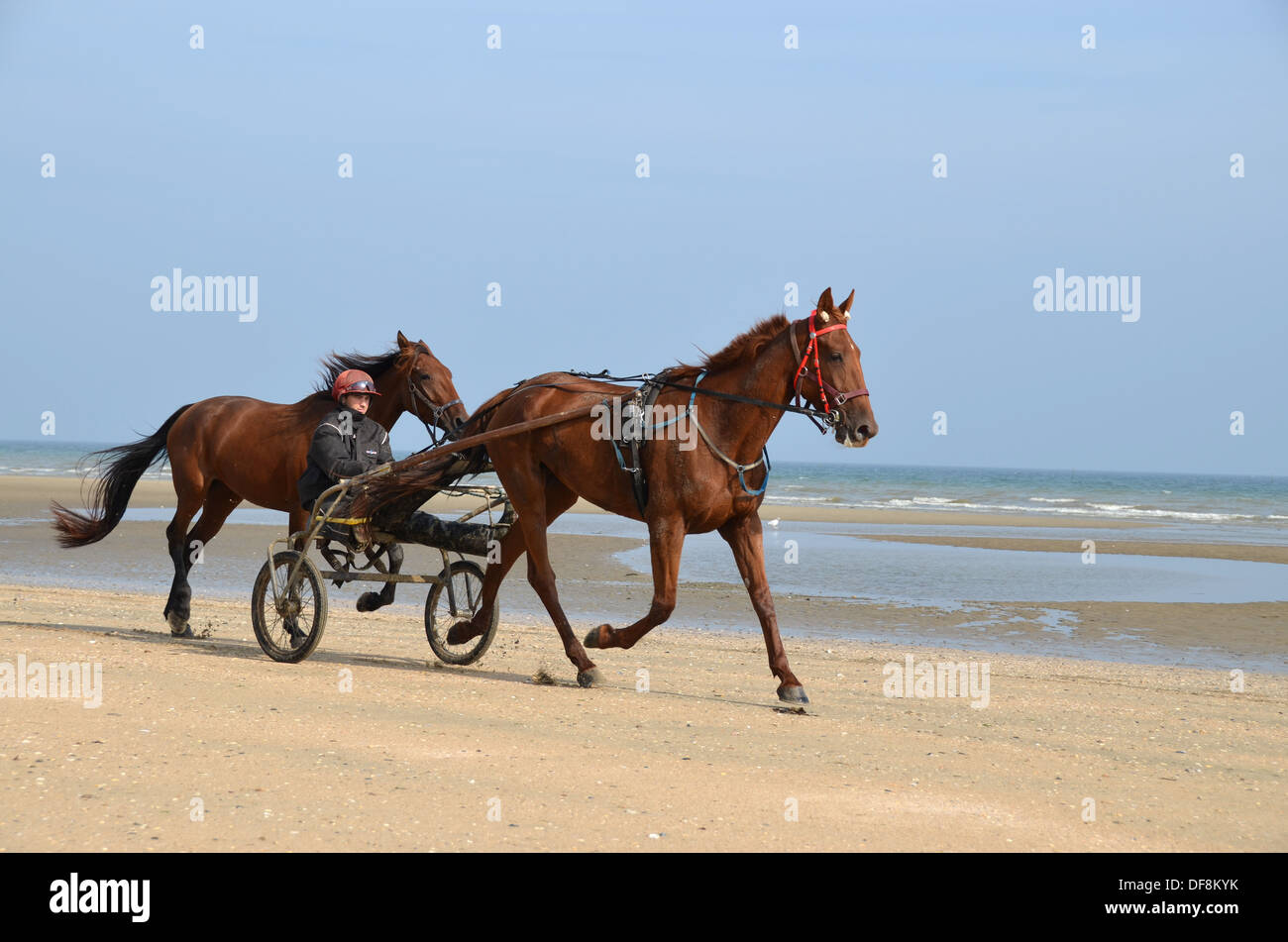 1944 d-Day in der Normandie: Utah Beach. Stockfoto
