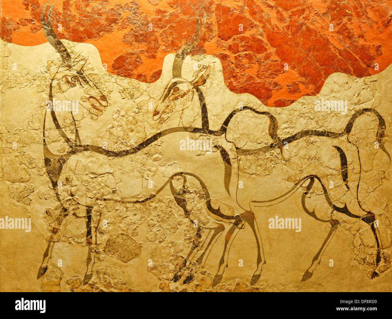 Antilopen Fresko wird skizziert, mit starken, dunkle Linien auf weißem Putz Hintergrund in Acroteri, Thera, Griechenland (16. Jhdt. V. CHR.) Stockfoto