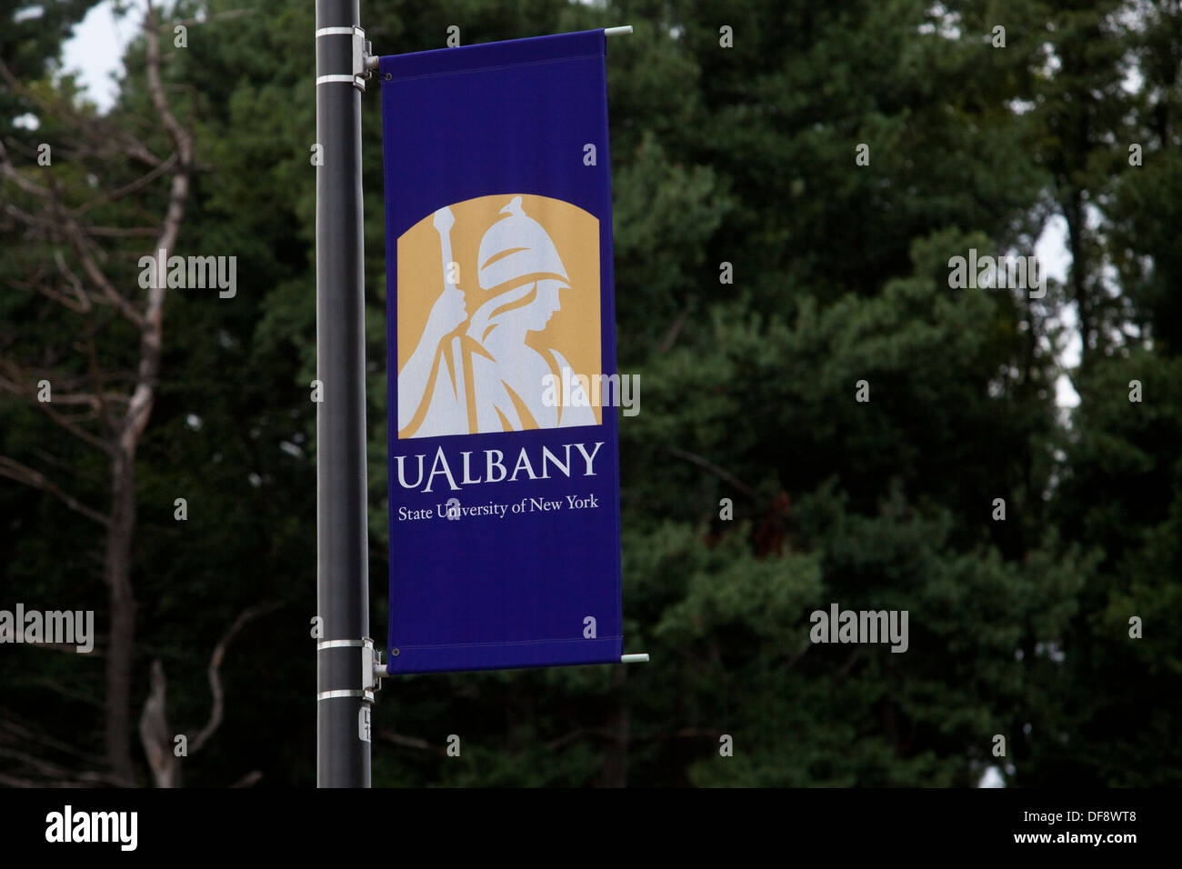 University at Albany ist abgebildet in Albany, NY Stockfoto