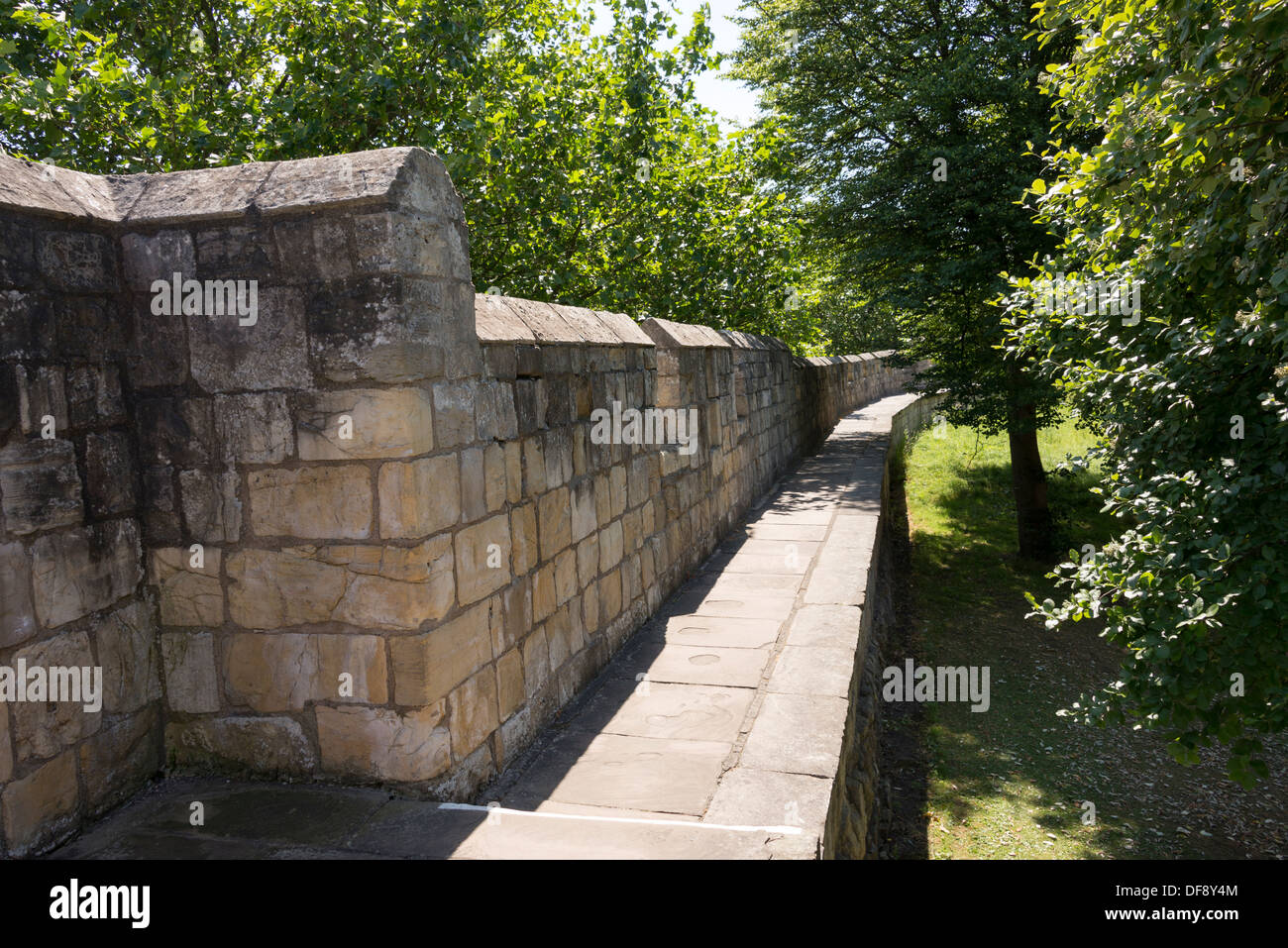 Die alte Stadtmauer von York in Kings Fishpool. York, North Yorkshire, England. Stockfoto