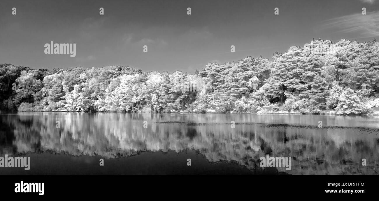 Einen Panoramablick Landschaft auf der blauen Pool im Furzebrook, in der Nähe von Wareham, Dorset, England, Uk. (Schwarzweiß) Stockfoto