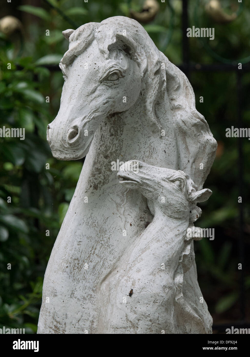 Weiße Statue eines Pferdes und das Geflügel in Beaurepaire Gardens in Belper, Derbyshire, Großbritannien. Stockfoto