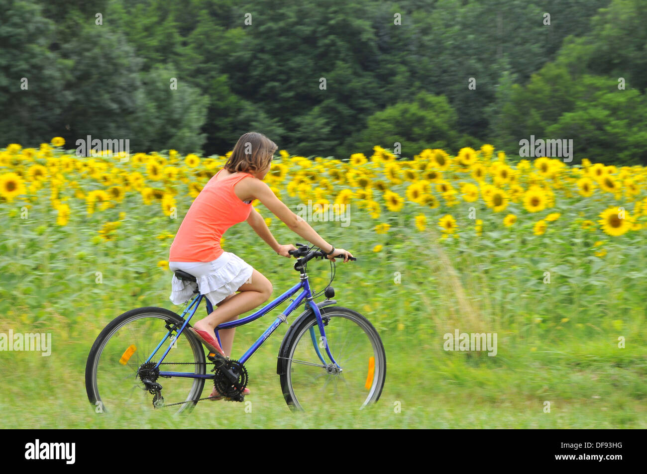Jugendliche beim radfahren -Fotos und -Bildmaterial in hoher Auflösung