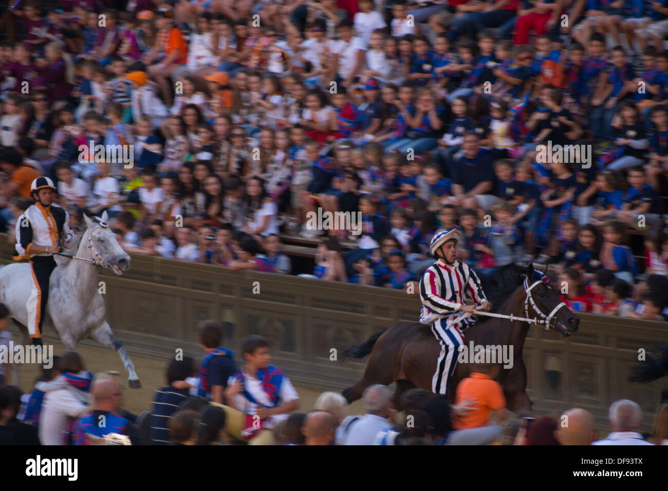 Rennpferde bei einem Palio, Il Campo (mittelalterliche Stadtplatz], Siena, Toskana, Italien Stockfoto