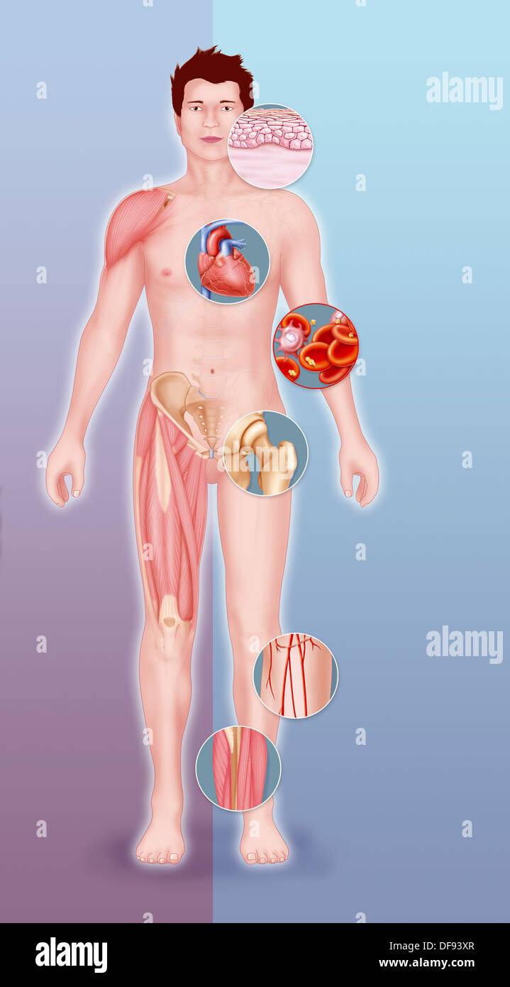 ZELLTHERAPIE, ILLUSTRATION Stockfoto
