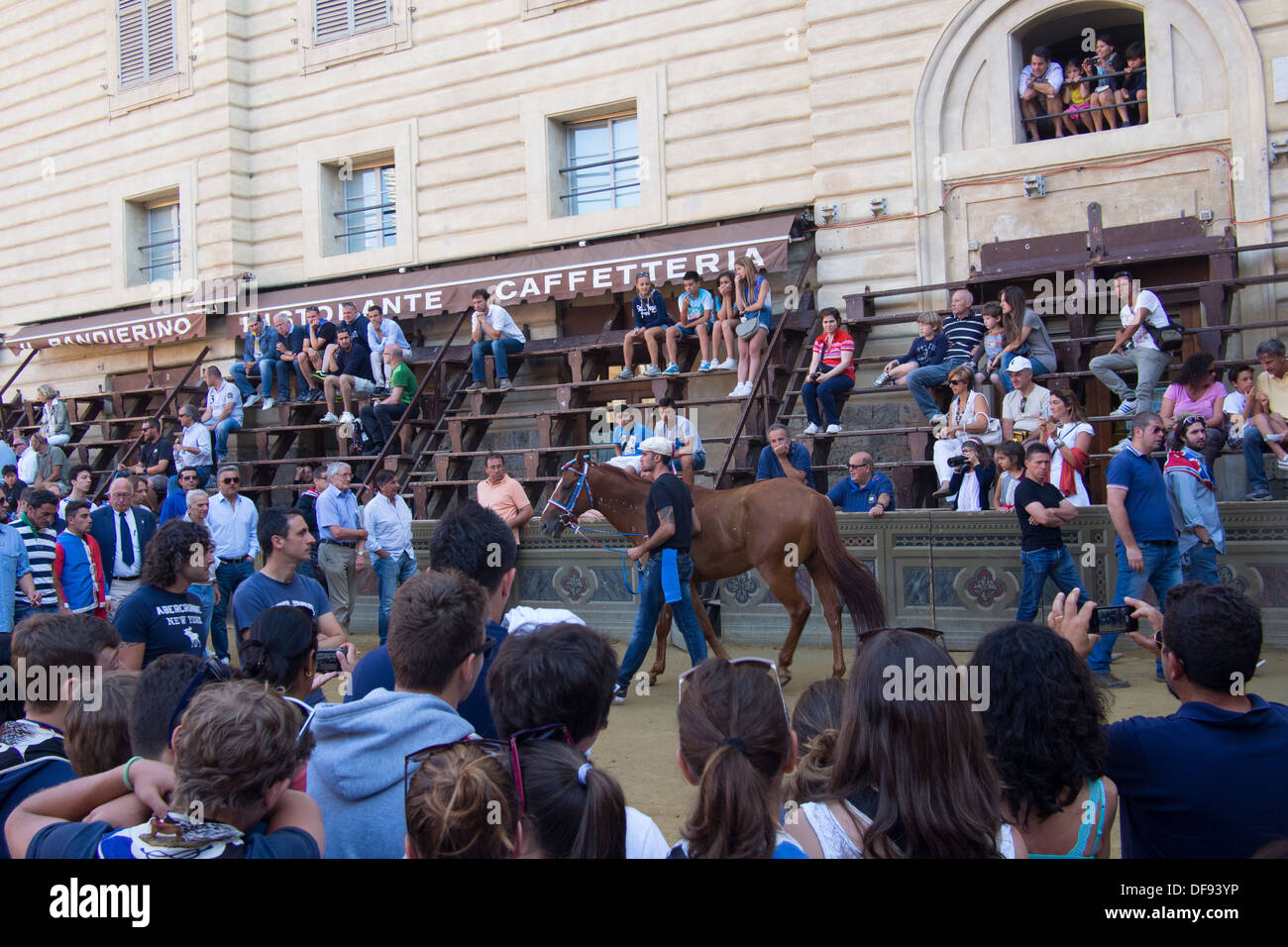 Pferd in Il Campo geführt (mittelalterliche Stadtplatz], Siena, Toskana, Italien Stockfoto