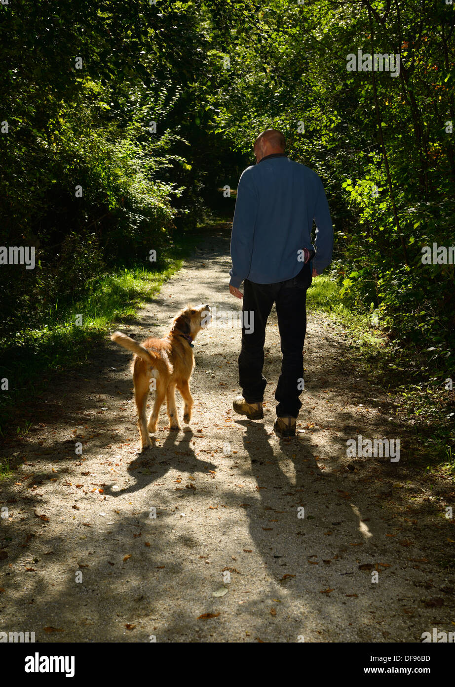 Der Mensch mit seinem Hund bei einem Spaziergang auf einem Weg in einer grünen forest park von Toronto Stockfoto