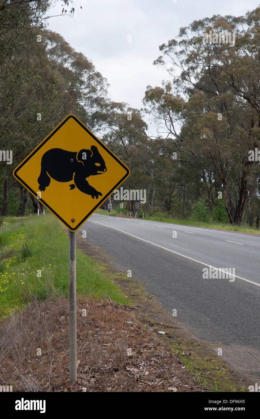 Australian Road-Trip: Koala Gefahr Warnzeichen neben einer Autobahn in Victoria Stockfoto