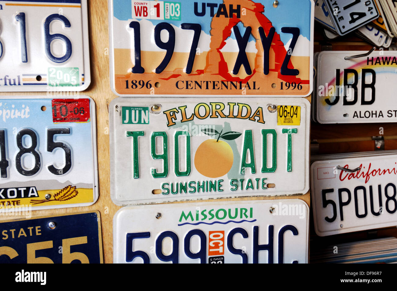 USA Auto Nummernschild License Plate Deko Blechschild San Francisco Skyline 