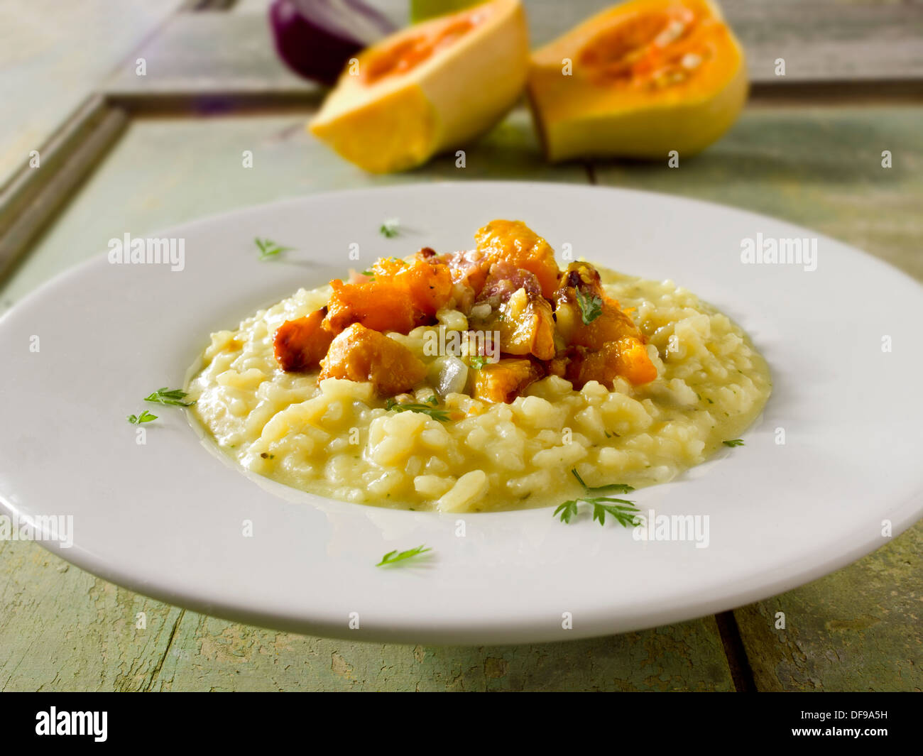 Braten-Butternut-Kürbis auf Safran-risotto Stockfoto
