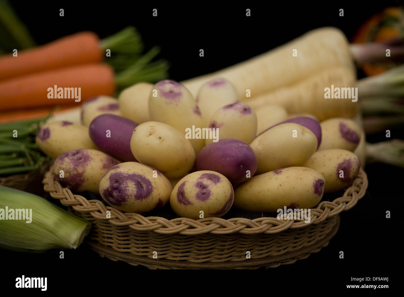 Amour White gehäutet Kartoffeln in einem Weidenkorb mit Pastinaken und Möhren im Hintergrund Stockfoto