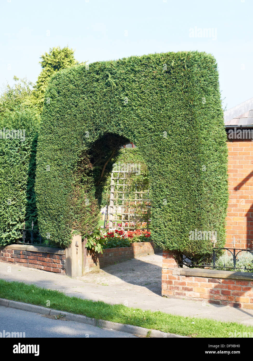 Immergrüne Torbogen in einen englischen Garten UK Stockfoto