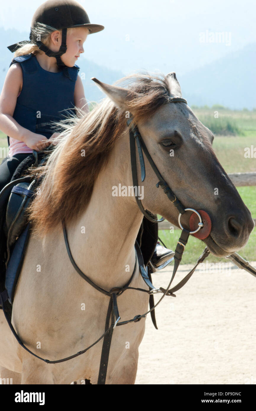 Mädchen lernt, ein Pferd zu reiten. Stockfoto