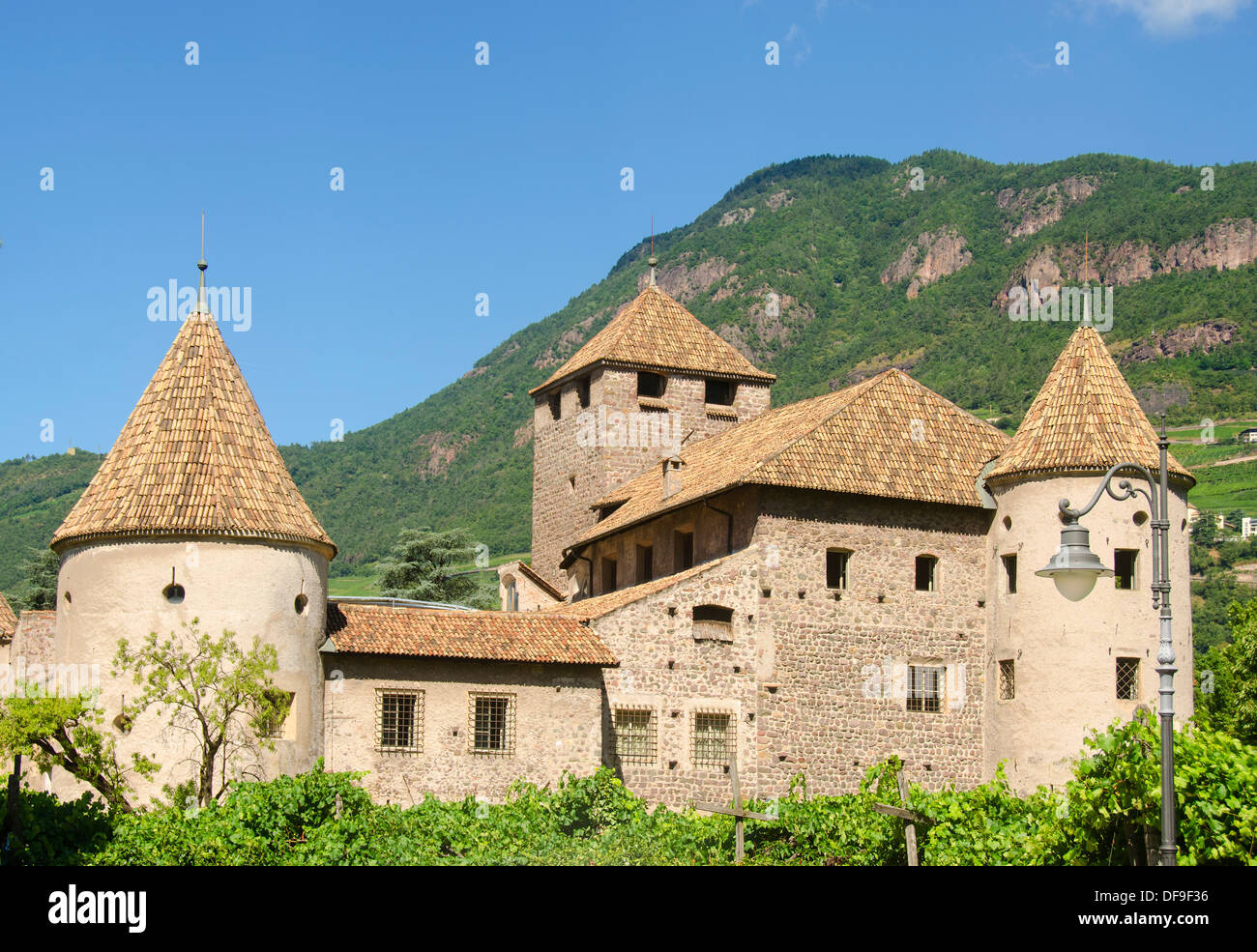 Schloss Mareccio (Schloss Maretsch) und Weinberg, Bozen, South Tyrol Provinz, Italien, Europa Stockfoto