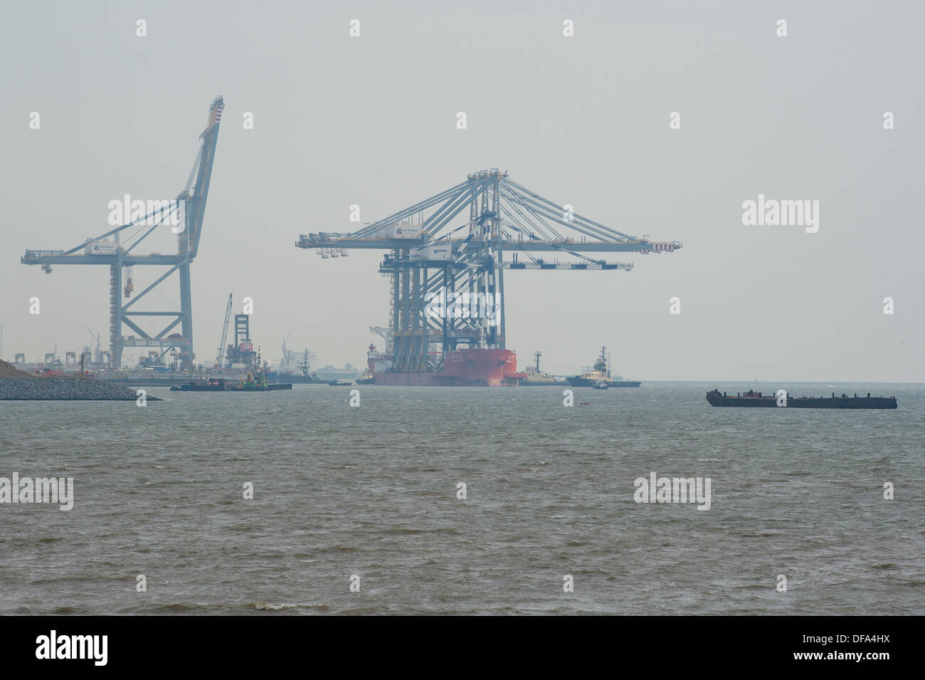 Thames Gateway, London, UK. 1. Oktober 2013, liefert das Schiff Zhen Hua 24 3 neue Krane bei Thames Gateway, DP World. Das Schiff die riesigen Kräne kam heute Morgen und ist Manouvred in Platz von drei Schleppern am neuen Hafen, der bald öffnen soll. Es werden die größten Schiffe der Welt behandeln können. Bildnachweis: Allsorts Stock Foto/Alamy Live-Nachrichten Stockfoto