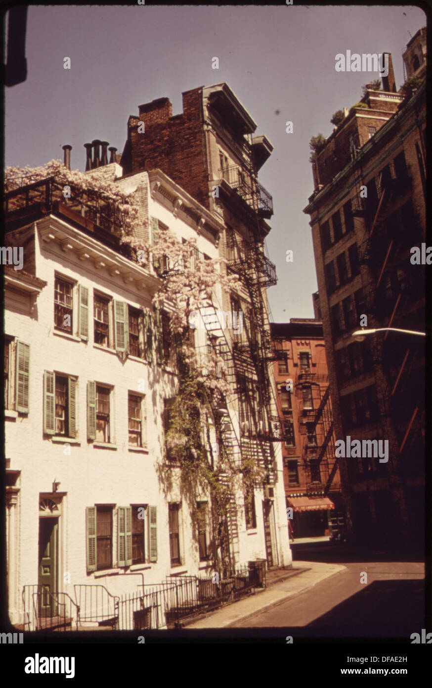 Wisteria bestieg die Fassade eines charmanten Hauses am Waverly Place, einer ruhigen Straße in der Nähe des Washington Square in Lower Manhattan. Dieses Foto fängt die zeitlose Schönheit der historischen Viertel von New York ein. Stockfoto