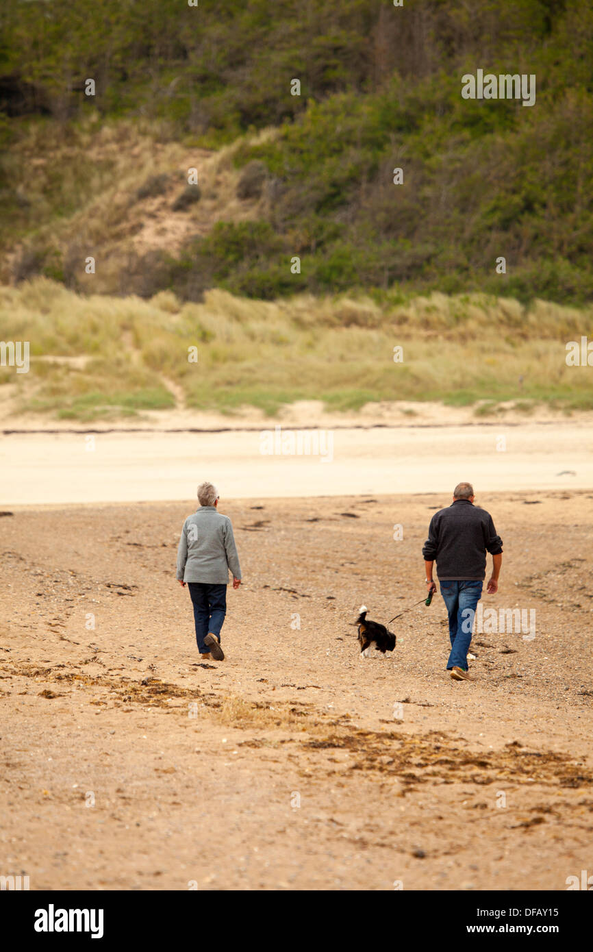Anglesey, Wales, UK. 1. October2013: Hund Spaziergänger genießen angenehmes Wetter am ersten Tag des uneingeschränkten Hundewiesen Saison auf Ynys Llanddwyn (Llanddwyn Island) und Newborogh Warren Strand, Anglesey, Wales Credit: Deadgooddesigns/Alamy Live-Nachrichten Stockfoto