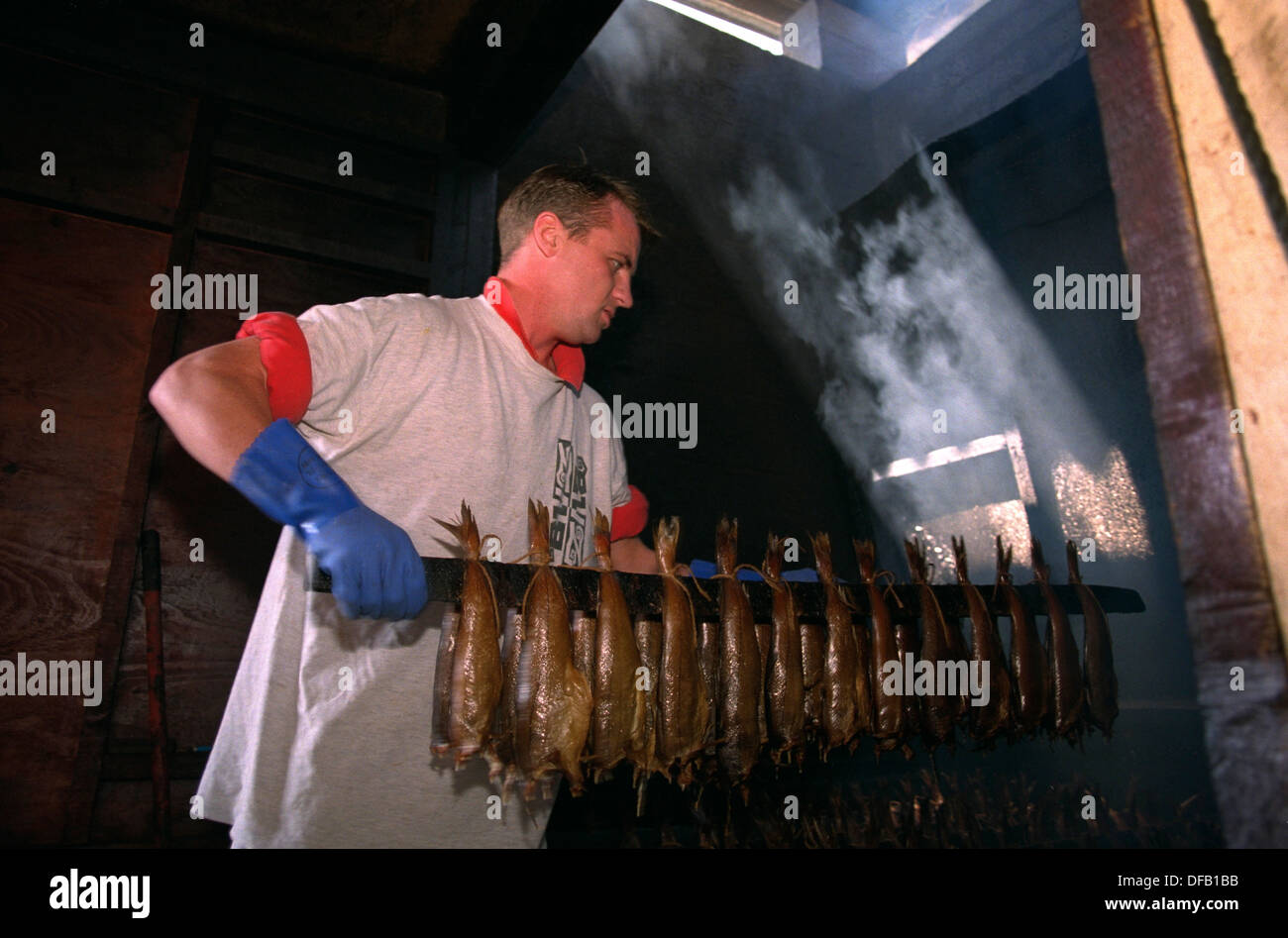Schellfisch Fisch Räucherei, Arbroath, Schottland Stockfoto