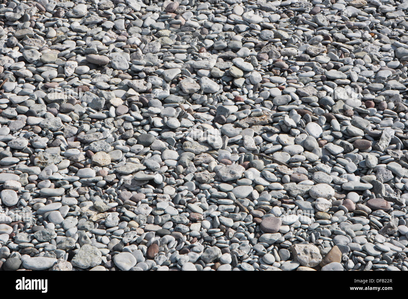 Dies ist der Kiesstrand befindet sich südlich von Visby Gotland Schweden. Stockfoto