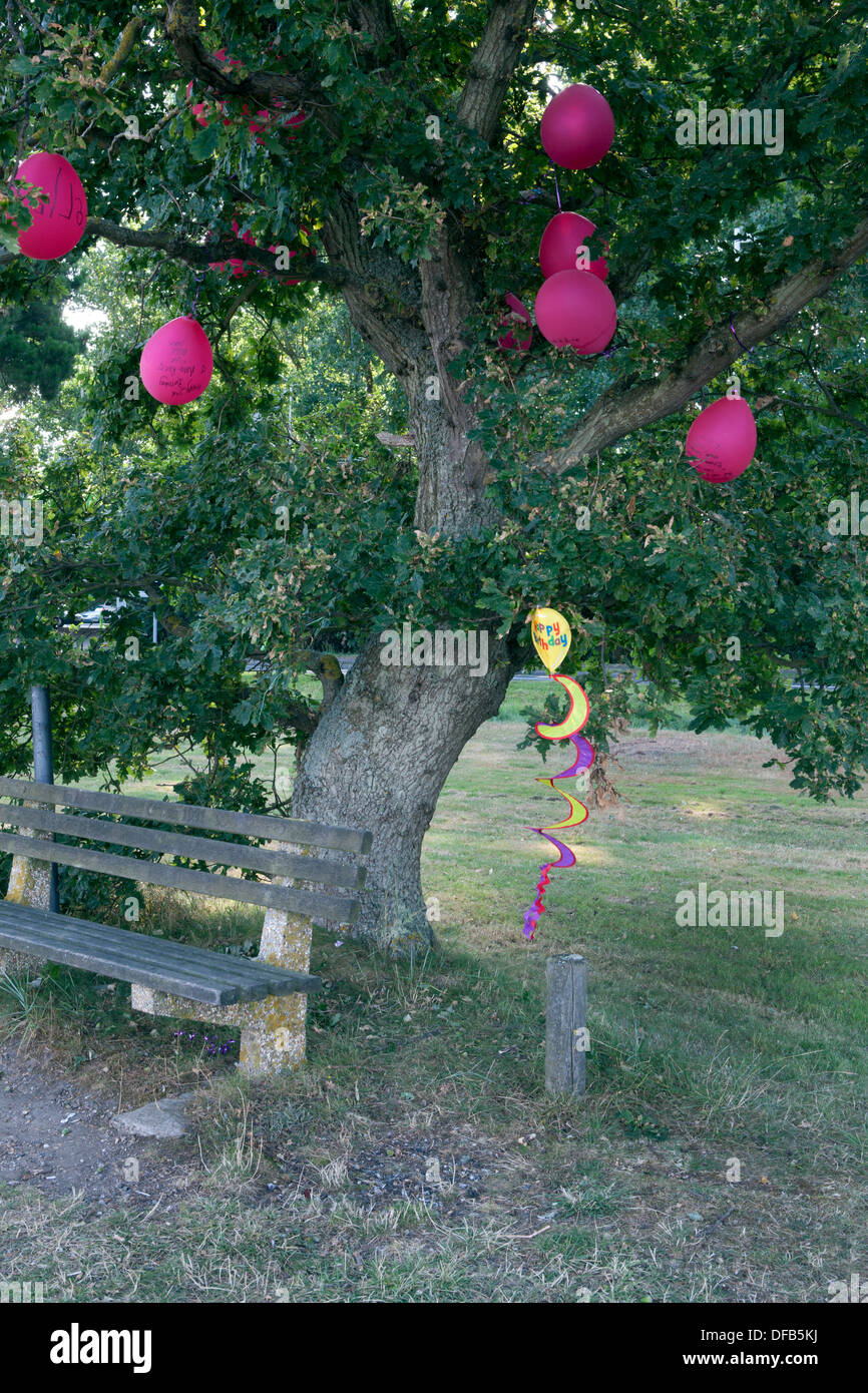 Rosa Luftballons gebunden in eine Eiche für eine Geburtstagsfeier Stockfoto