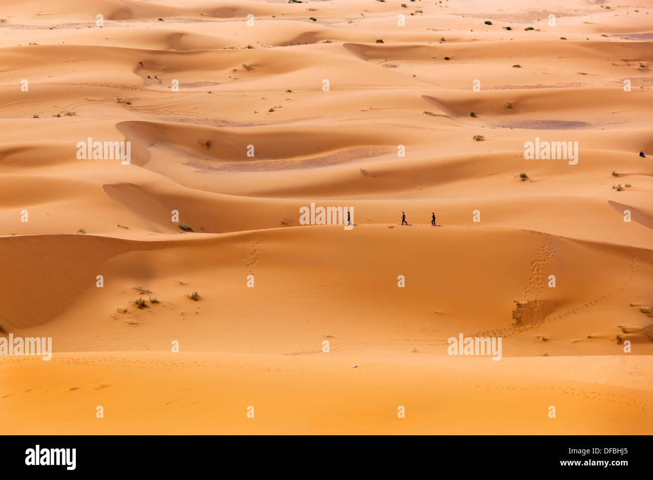 Erg Chebbi Wüste Dünen Sahara Marokko Nordafrika März Stockfoto