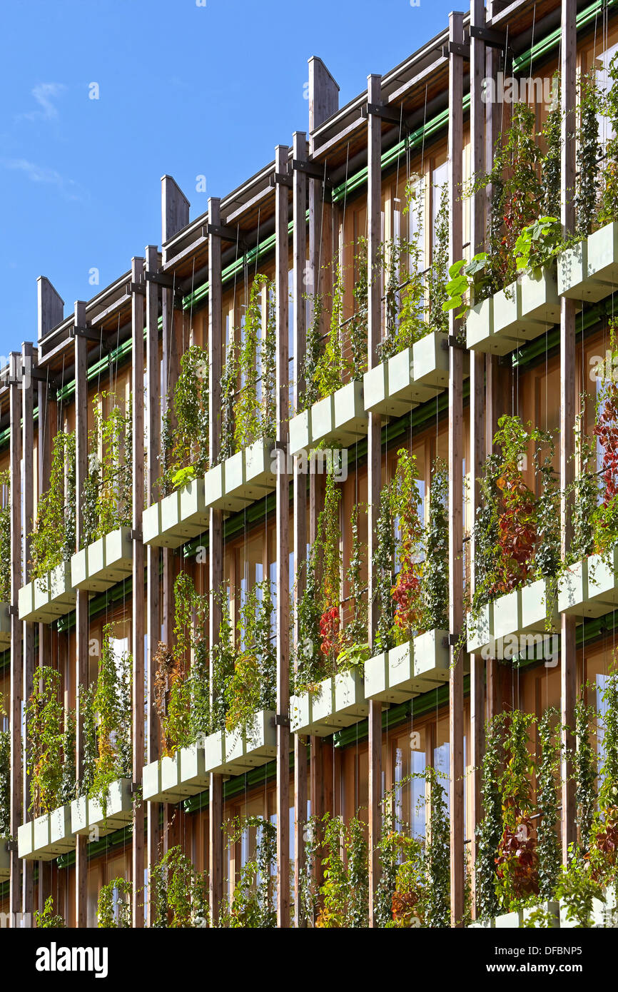 MUSE Wissenschaftsmuseum, Trentino, Italien. Architekt: Renzo Piano Building Workshop, 2013. Detail der Fassade mit Kletterpflanzen. Stockfoto
