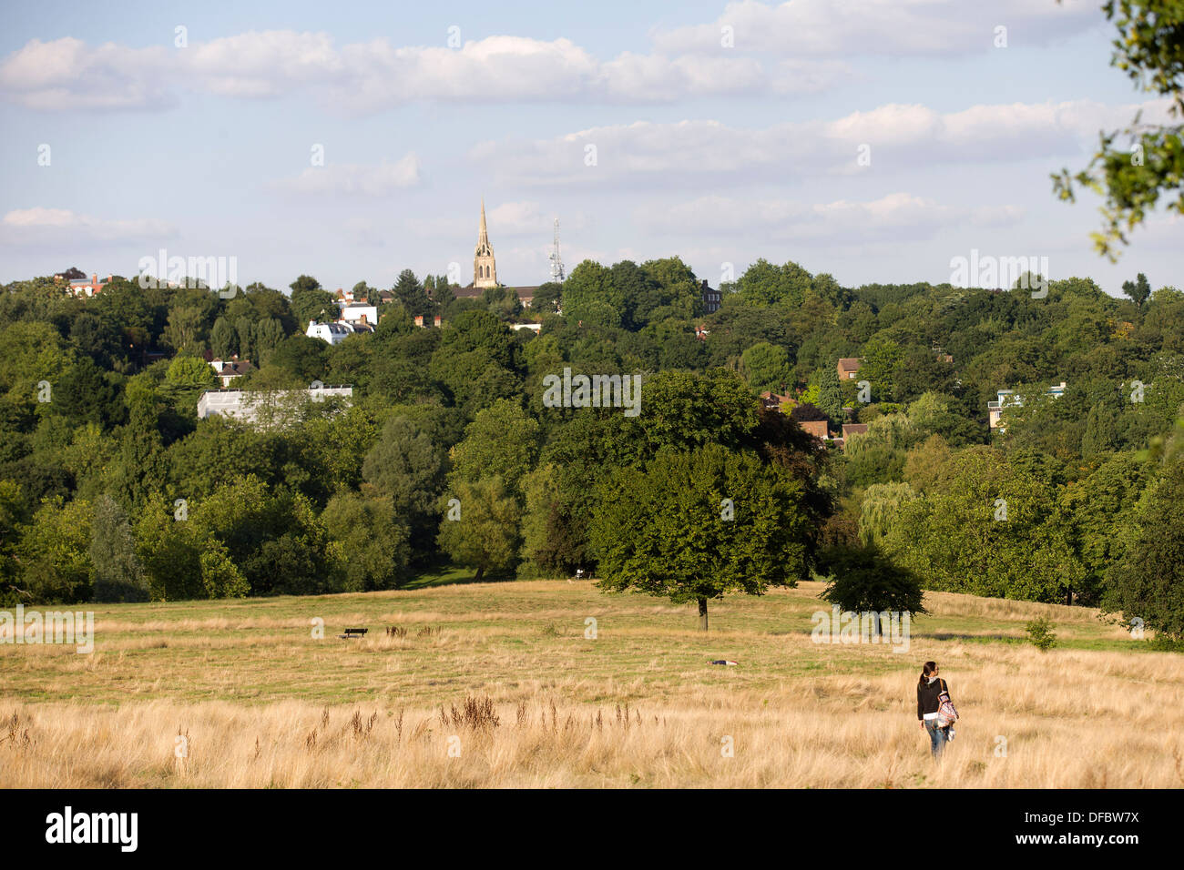 Großbritannien, London: Eine allgemeine Ansicht über Hampstead Heath in London am 28. August 2013. Stockfoto