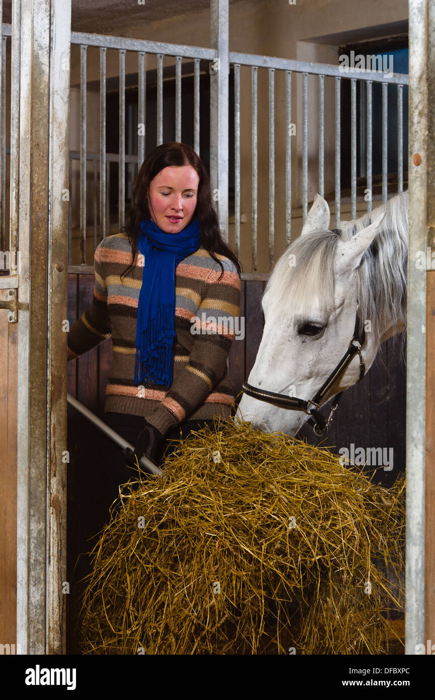 Frau, Fütterung Pferde im Stall, Hochformat Stockfoto