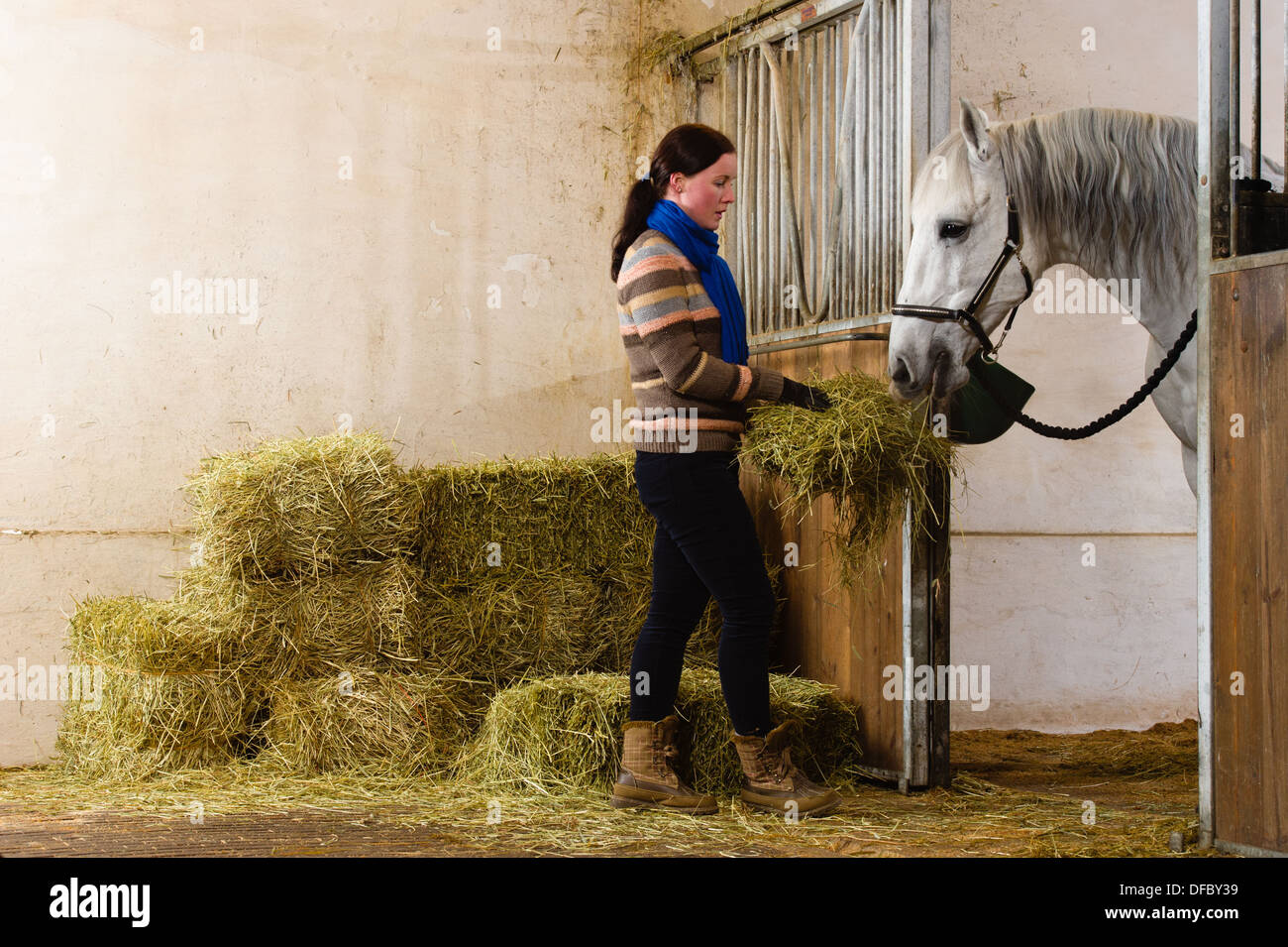 Frau geben ein Heu für ein Pferd Stockfoto