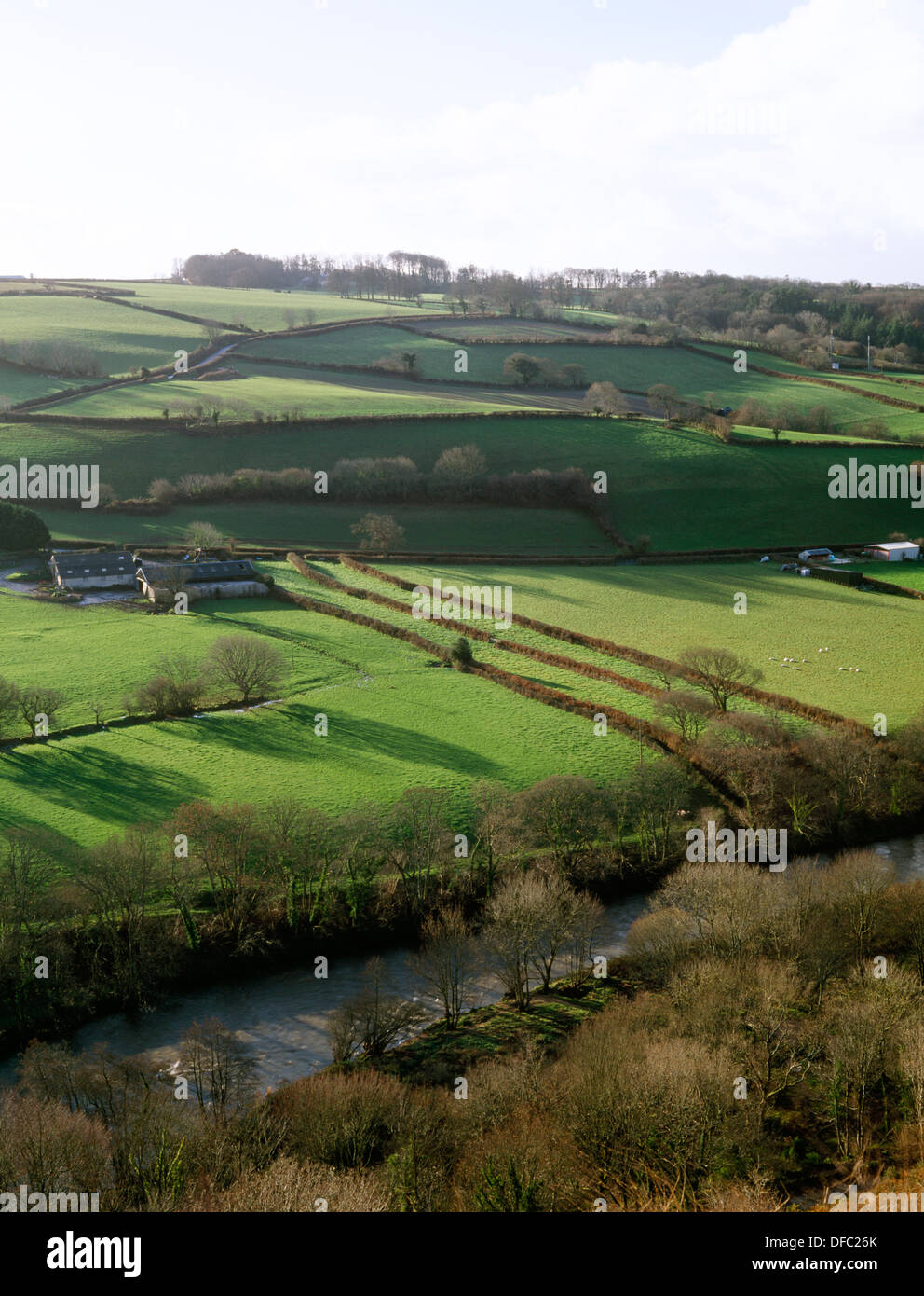Taddiport Aussätzigen Felder, Devon: zwei erhaltenen mittelalterlichen Gewanne verwendet für den Anbau von Insassen das Leprakrankenhaus um 1300. Stockfoto