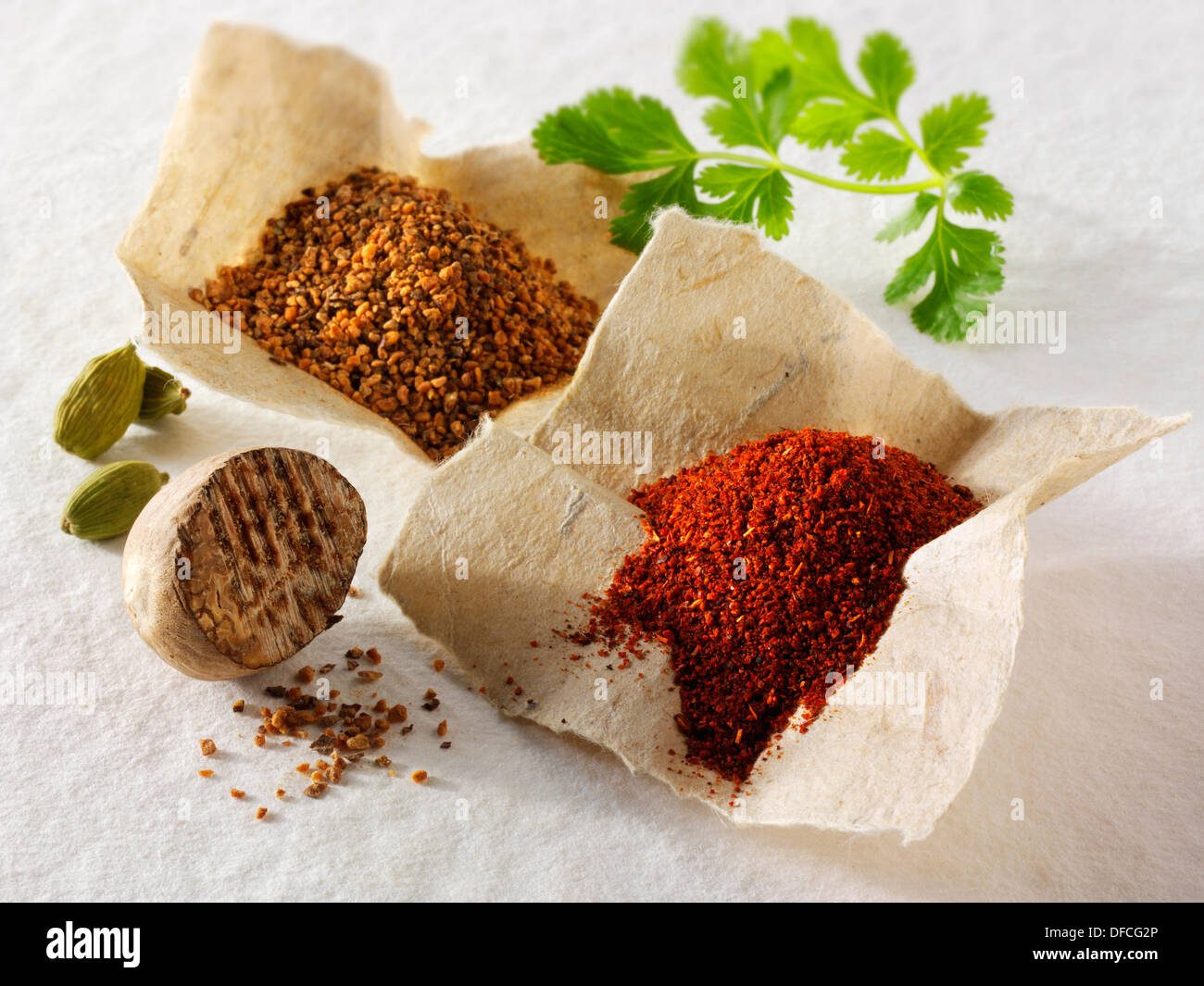 Boden & ganze Muskatnüsse, gemahlen Chili Pulver & frische Korianderblätter komponierte Anordnung Stockfoto