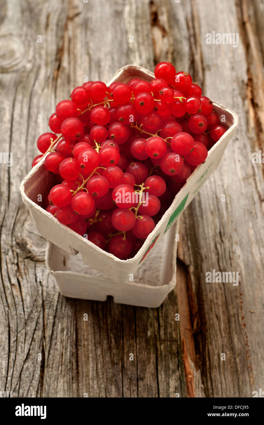 Karton gefüllt mit roten Johannisbeeren auf Tisch, Nahaufnahme Stockfoto