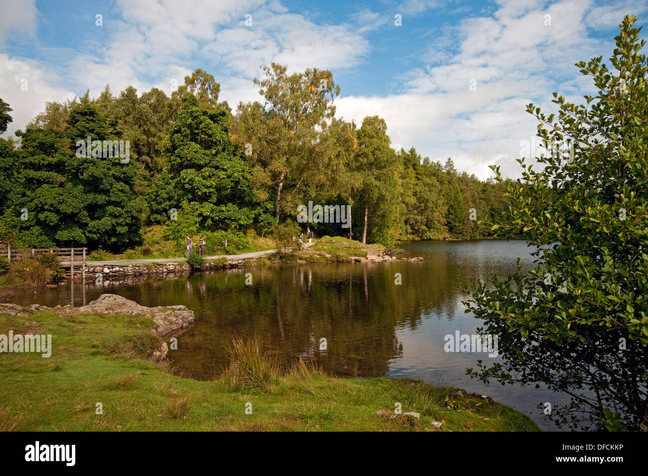 Wanderer Menschen Touristen Besucher Wandern in Tarn Hows im Sommer Lake District National Park Cumbria England Vereinigtes Königreich Großbritannien und Nordirland GB Großbritannien Stockfoto