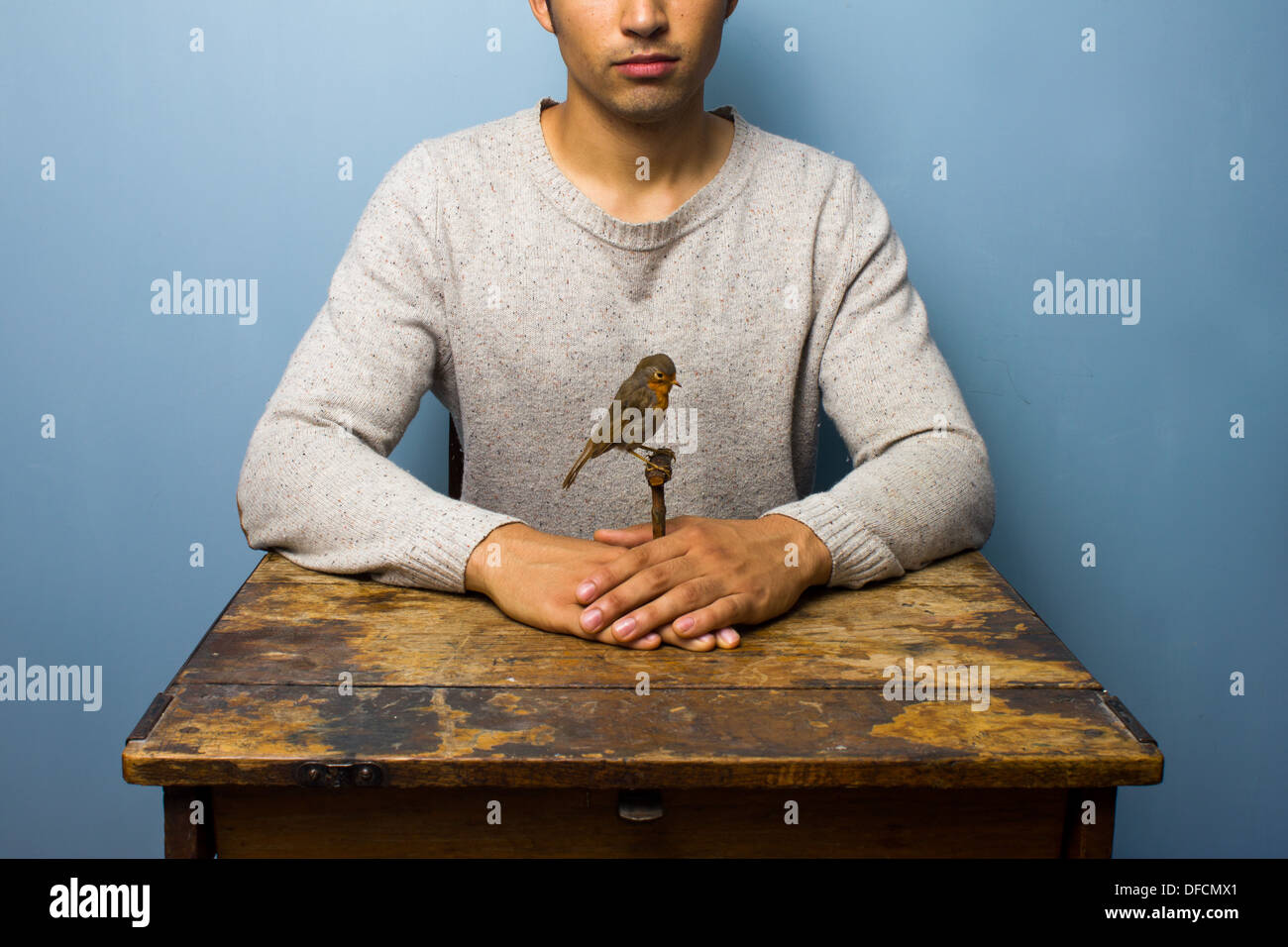 Junger Mann sitzt auf einem alten Schreibtisch mit einem ausgestopften robin Stockfoto