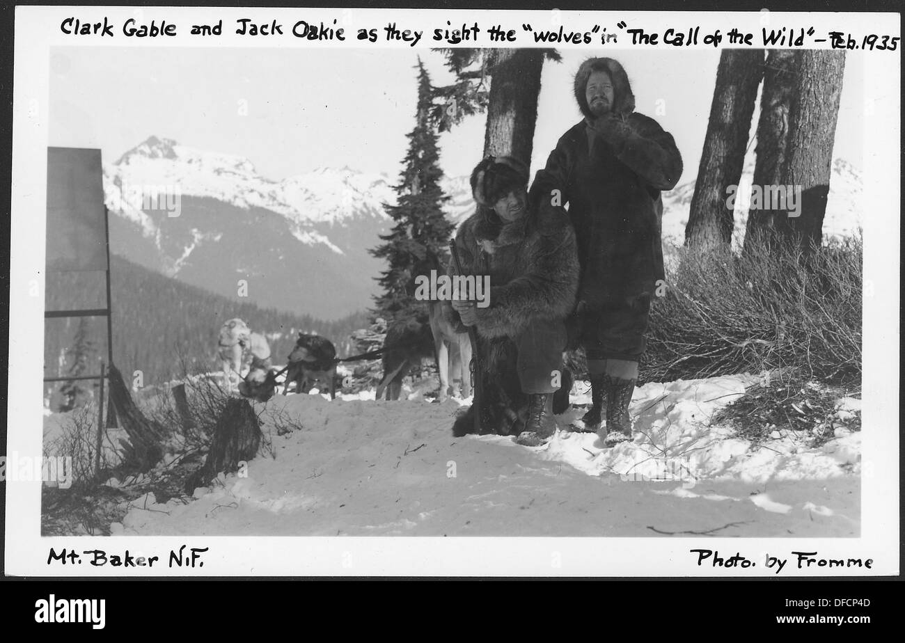 Clark Gable und Jack Oakie werden fotografiert, als sie Wölfe im Mount Baker National Forest während der Dreharbeiten von The Call of the Wild im Jahr 1935 beobachten. Stockfoto
