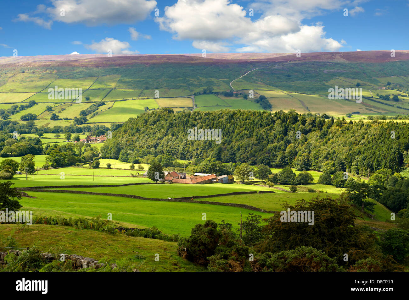 Blick auf Farndale. North Yorks National Park, North Yorkshire, England Stockfoto