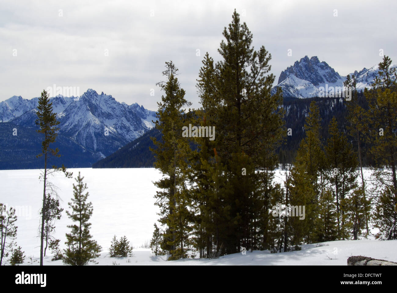 Sägezahn Berge über Red Fish Lake, Sawtooth Ntl. Wald, Idaho Stockfoto