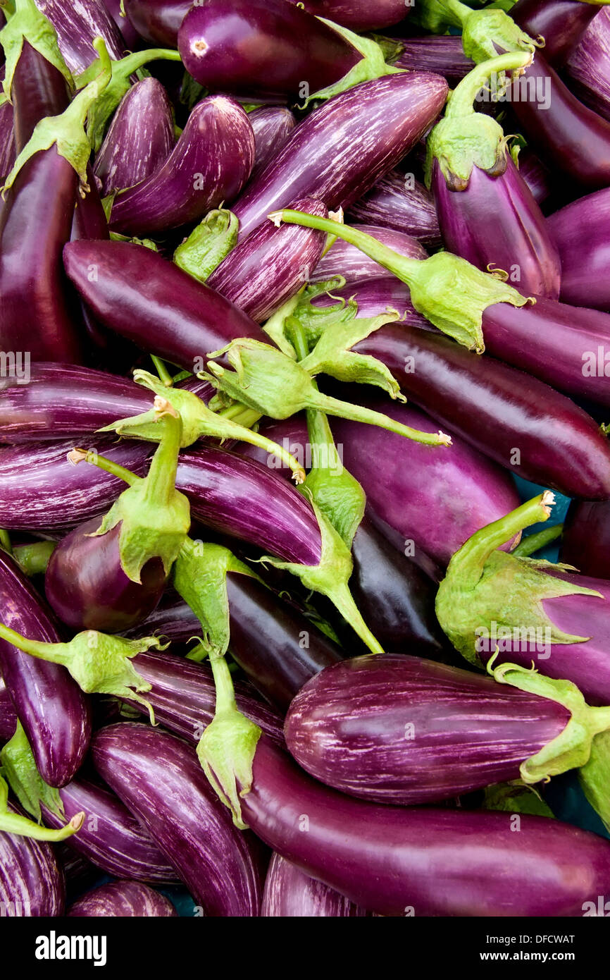 Sorten von Auberginen als Hintergrund Stockfoto