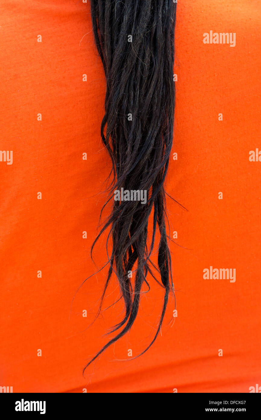 Indischen Sadhus Dreadlocks gegen seine orange Tuch. Indien Stockfoto